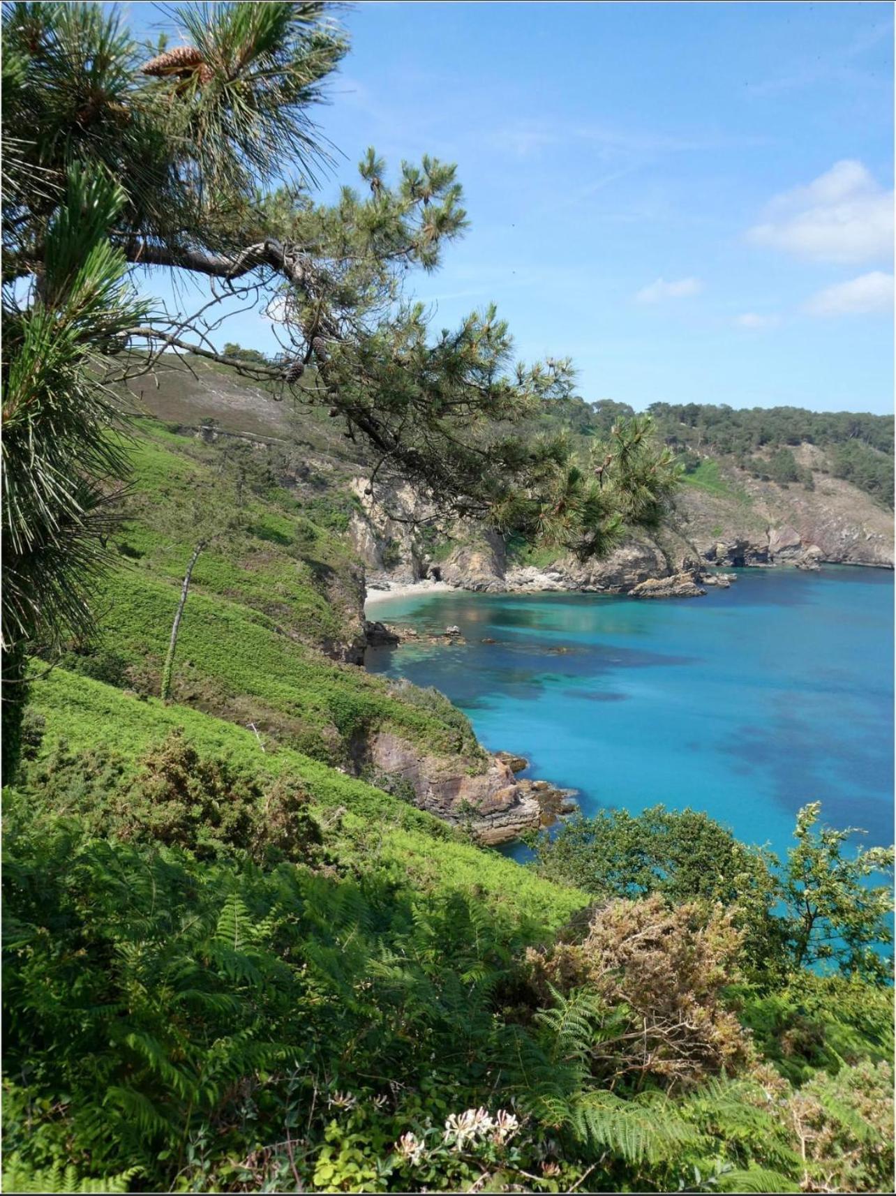 Maison A Morgat En Bretagne Sur La Presqu'Ile De Crozon Situee A 800 M De La Mer Piscine Chauffee Toute L'Annee Travaux Piscine Du 10 Au 20 Juin 2025 Крозон Екстериор снимка